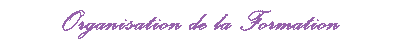 Organisation de la Formation